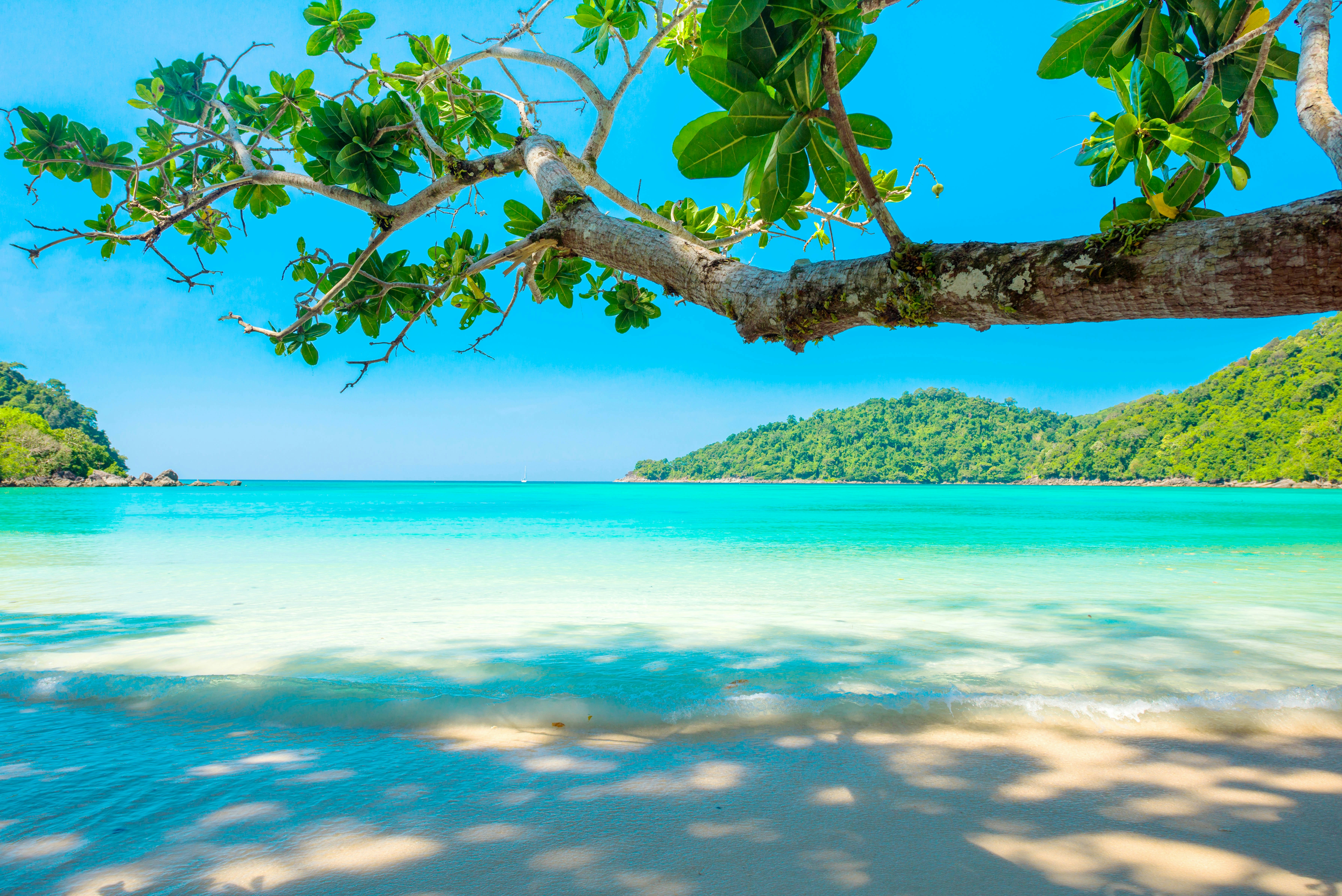 750+ Tropical Beach Pictures | Download ...